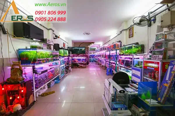 Các Tiêu Chuẩn Của Một Thiết Kế Cửa Hàng Cá Cảnh Nhỏ