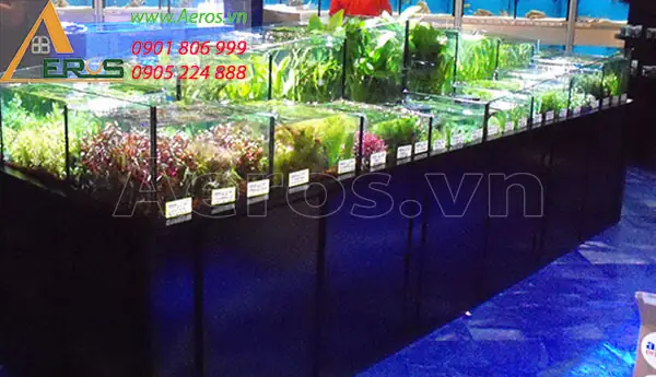Mẫu Thiết Kế Nội Thất Shop Cá Cảnh 1