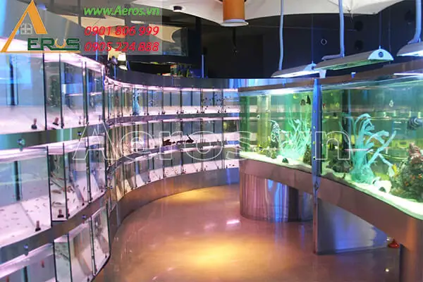 Mẫu Thiết Kế Và Thi Công Shop Thủy Sinh 7