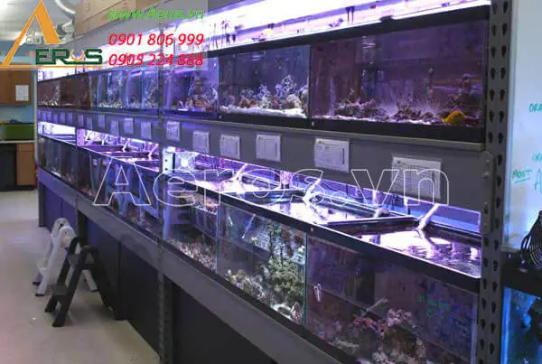 Những Lợi Ích Của Việc Thiết Kế Nội Thất Cửa Hàng Đẹp