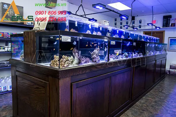 Mẫu Thiết Kế Shop Cá Cảnh 3