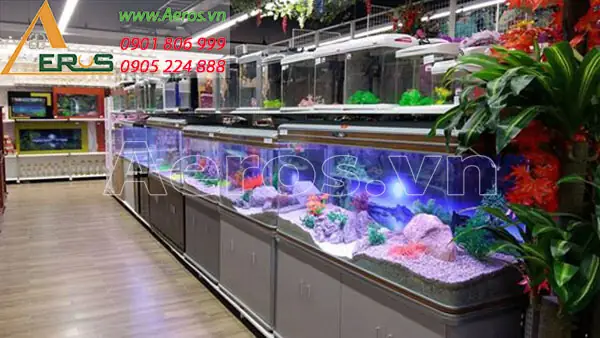 Mẫu Thi Công Cửa Hàng Cá Kiểng 10