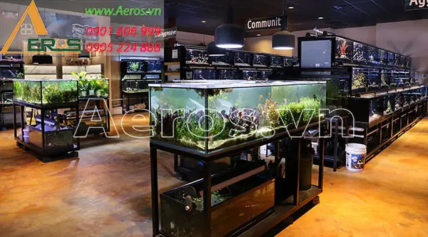 Mẫu Thiết Kế Và Thi Công Shop Cá Cảnh 4