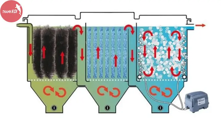 Các Yếu Tố Cần Xem Xét Khi Thiết Kế Thùng Lọc