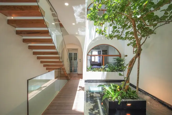 Hồ Cá Trong Nhà Dưới Giếng Trời