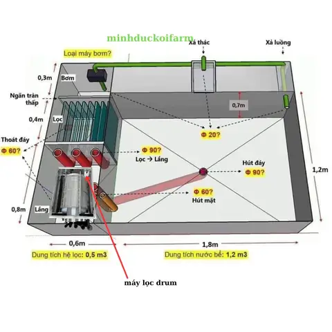 Cách Làm Hệ Thống Lọc Nước Hồ Cá Koi Ngoài Trời Đơn Giản ...