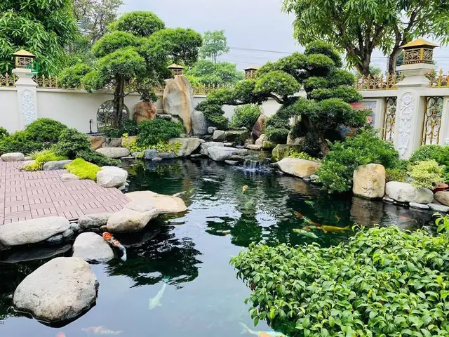 Thi Công Hồ Cá Koi Mini, Sân Vườn Chuyên Nghiệp Giá Rẻ 2025