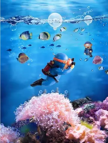 Thợ Lặn Trang Trí Bể Cá: Ý Tưởng Độc Đáo Cho Hồ Cá Thủy Sinh