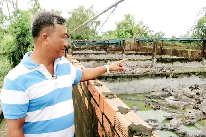 Thời Gian Nuôi Cá Sấu