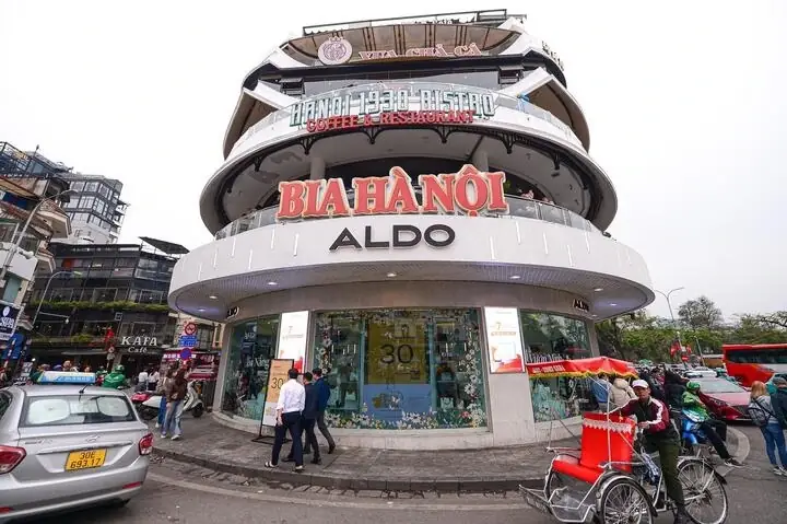 Khám Phá Thế Giới Cá Mập: 5 Sự Thật Ít Ai Biết Về 'sát Thủ Đại Dương'