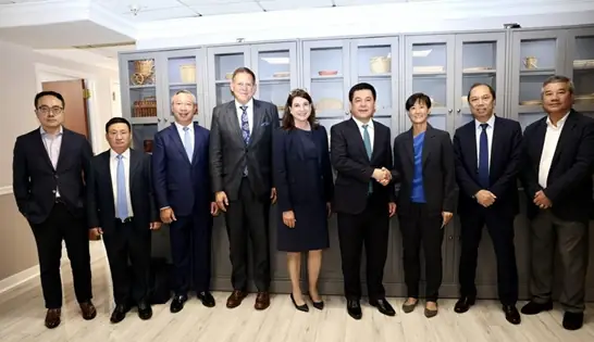 Thông Tin Về Cá Voi Xanh