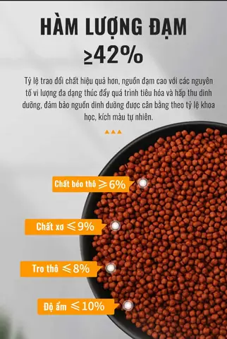 Tỉ Lệ Dinh Dưỡng Cám Bessn Astronotus