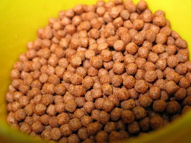 Thức Ăn Cho Cá 3 Đuôi: Hướng Dẫn Đầy Đủ Nhất