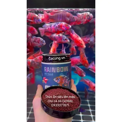 Thức Ăn Cho Cá Ali Lên Màu: Bí Quyết Nuôi Cá Đẹp Như Nghệ Sĩ Thức Ăn Cho Cá Ali Lên Màu: Bí Quyết Nuôi Cá Đẹp Như Nghệ Sĩ