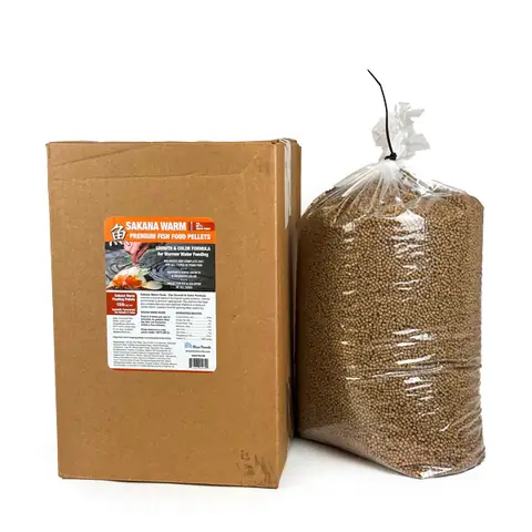 Thức Ăn Cho Cá Betta Mau Lớn: Hướng Dẫn Chi Tiết Từ A Đến Z