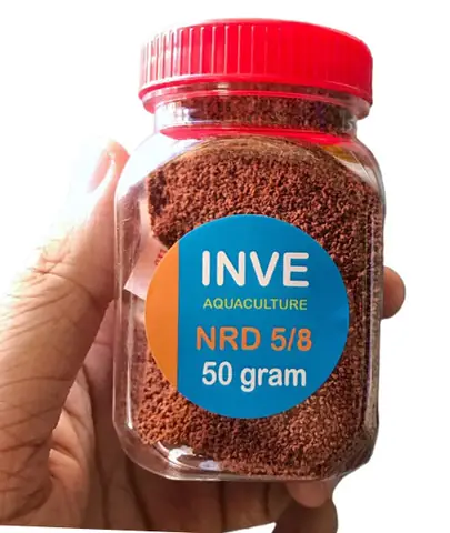 Thức Ăn Cho Cá Betta Mau Lớn: Hướng Dẫn Chi Tiết Từ A Đến Z