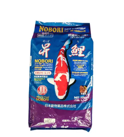 Thức Ăn Cho Cá Chép Nhật