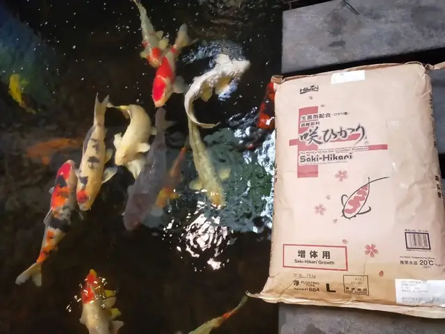 Kiểm Tra Hạn Sử Dụng