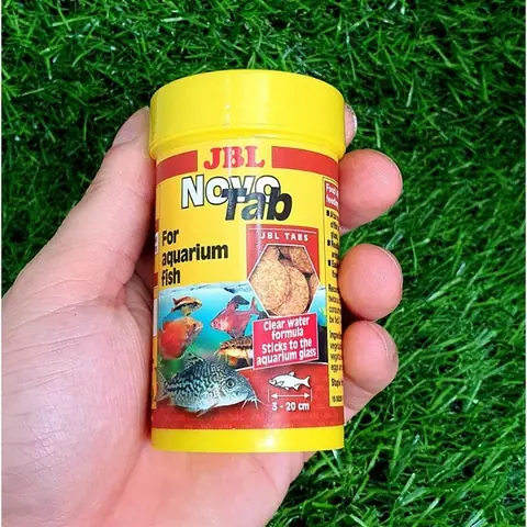 Thức Ăn Cho Cá Jbl: Cẩm Nang Chi Tiết Từ Chuyên Gia