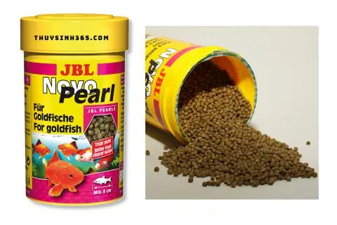 Thức Ăn Cho Cá Jbl: Cẩm Nang Chi Tiết Từ Chuyên Gia
