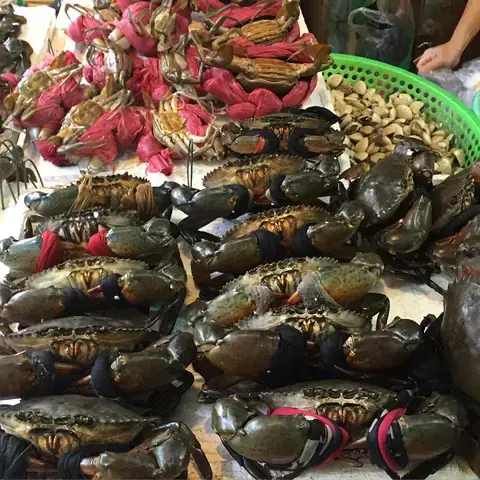 Các Loại Thức Ăn Phổ Biến Cho Cá Cảnh