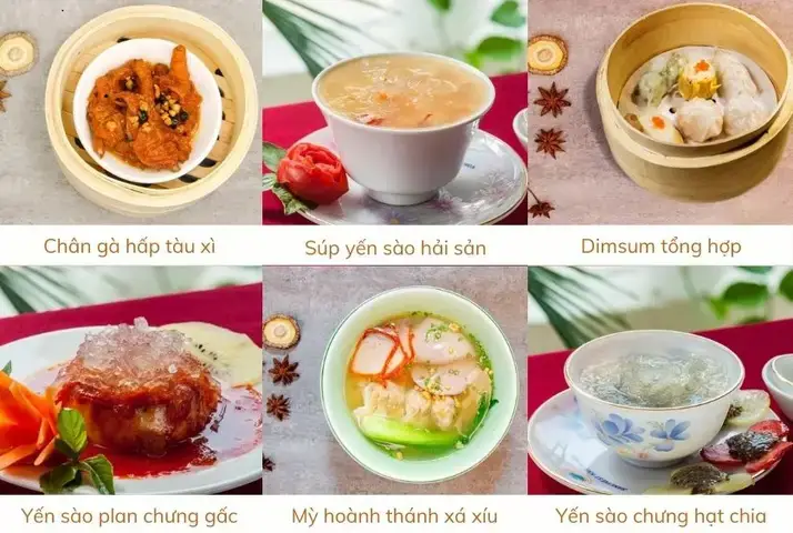 Tầm Quan Trọng Của Việc Lựa Chọn Thức Ăn Phù Hợp Cho Cá Cảnh