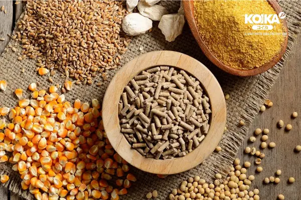 Thức Ăn Tốt Cho Cá Ranchu Từ Nguồn Thức Ăn Tổng Hợp