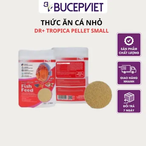 Thức Ăn Cho Cá Rồng Size Nhỏ: Hướng Dẫn Chọn Và Cho Ăn Đúng Cách Thức Ăn Cho Cá Rồng Size Nhỏ: Hướng Dẫn Chọn Và Cho Ăn Đúng Cách