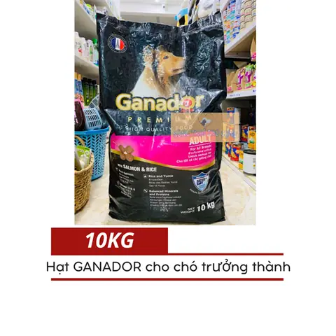Thức Ăn Cho Chó Bao 10kg: Hướng Dẫn Chi Tiết Từ Chuyên Gia