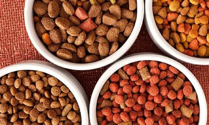 Thức Cho Chó Bull Pháp Dạng Chế Biến Sẵn Thức Cho Chó Bull Pháp Dạng Chế Biến Sẵn