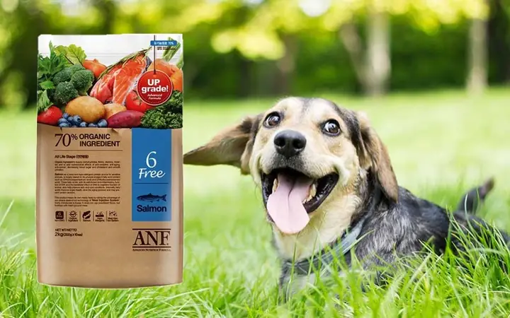 Thức Ăn Hữu Cơ Cho Chó Con Anf 6 Không
