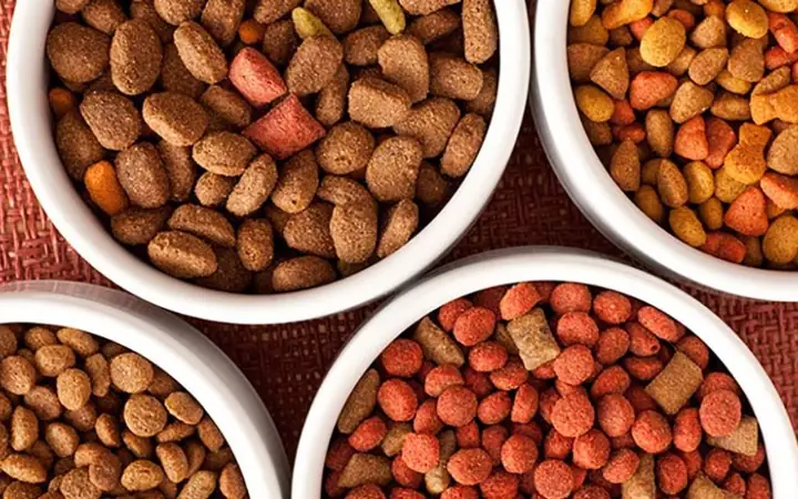 Cân Đối Lượng Thức Ăn Mỗi Ngày Cho Chó Con