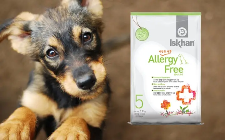 Thức Ăn Cho Chó Con Iskhan Ngăn Ngừa Dị Ứng
