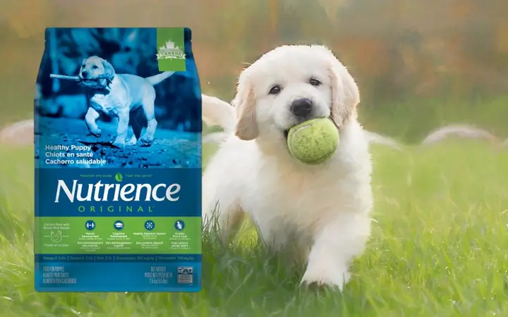 Thức Ăn Cho Chó Con Nutrience
