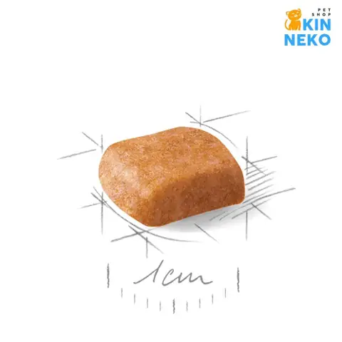 Thành Phần Chính