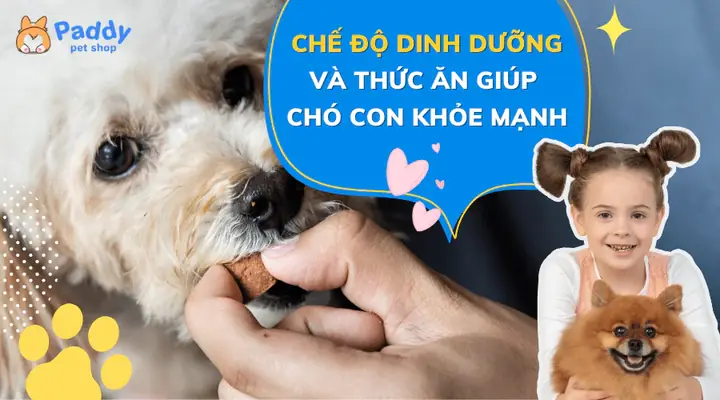Dinh Dưỡng Ảnh Hưởng Như Thế Nào Đến Sự Phát Triển Của Chó Con?