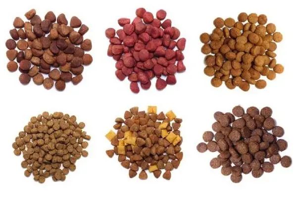 Ưu Điểm Khi Cho Chó Ăn Thức Ăn Hạt