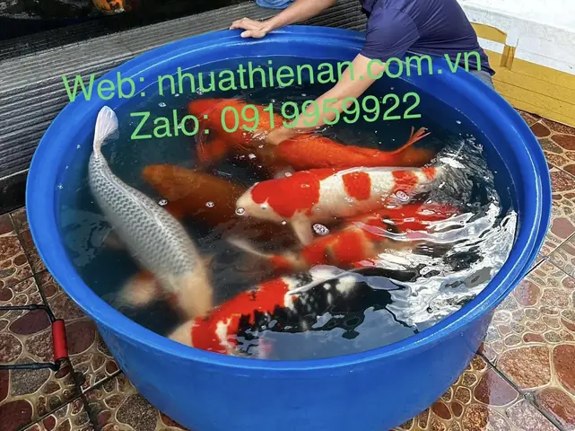 Thùng Composite Pom Cá