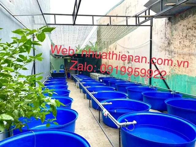 Thùng Composite Pom Cá