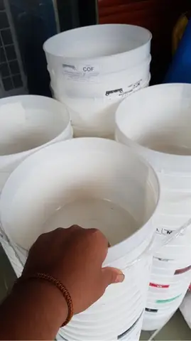 Thùng Kem Ép Cá Là Gì? Hướng Dẫn Sử Dụng Hiệu Quả Và Ứng Dụng Trong Cuộc Sống