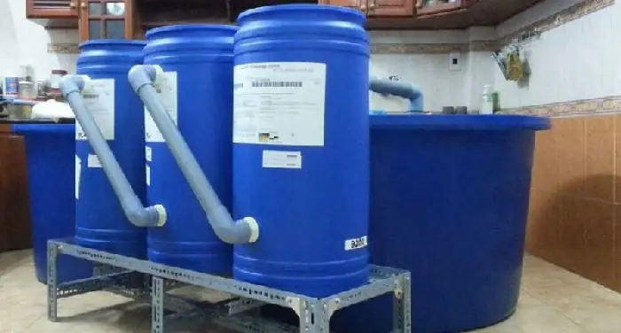 Thùng Lắng Hồ Cá: Nguyên Lý Hoạt Động Và Hướng Dẫn Tự Làm Tại Nhà