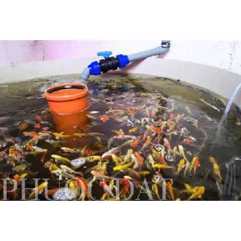 Thùng Nhựa Nuôi Cá 2000l Thùng Nhựa Nuôi Cá 2000l