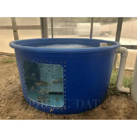 Thùng Nhựa Nuôi Cá 2000l Thùng Nhựa Nuôi Cá 2000l