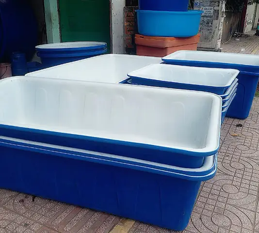 Một Số Lưu Ý Khi Sử Dụng Thùng Nhựa Nuôi Cá 300l Một Số Lưu Ý Khi Sử Dụng Thùng Nhựa Nuôi Cá 300l