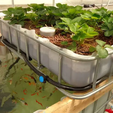 Ưu Điểm Của Loại Sản Phẩm Này: