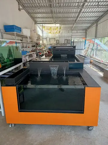 Thùng Pom Cá Rồng - Xưởng Sản Xuất Bồn Bể Composite Vĩnh Lộc