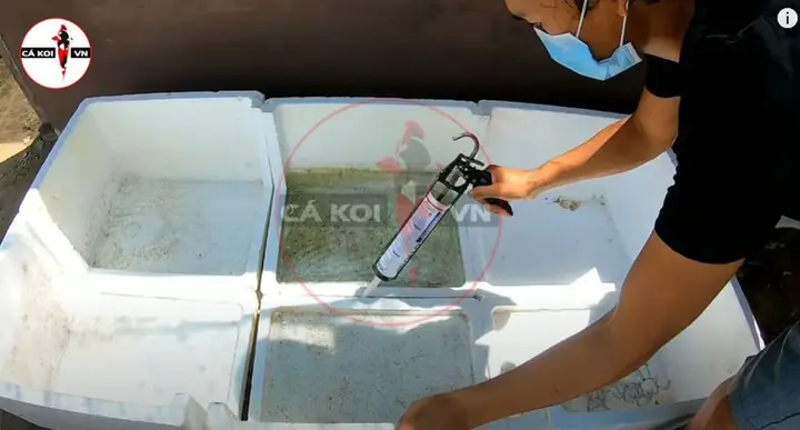 Cách Làm Hồ Cá Koi Bằng Thùng Xốp