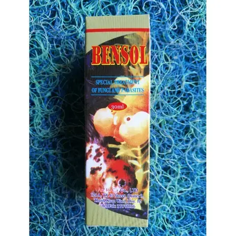 Cá Cảnh Nhập Khẩu