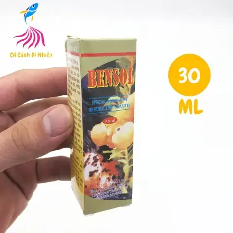 Anh Trần Văn B, Chủ Trang Trại Cá Cảnh