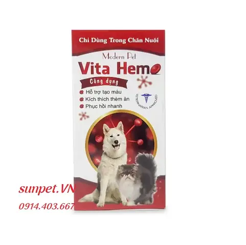 Dấu Hiệu Nhận Biết Chó Mèo Bị Thiếu Máu